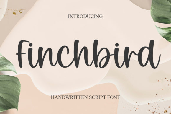 Finchbird: A Script Font That Elevates Editorial Design
