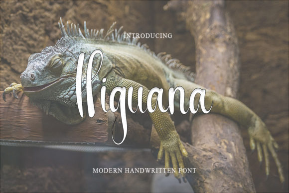 Higuana: The Handwritten Typeface for Modern Web Design