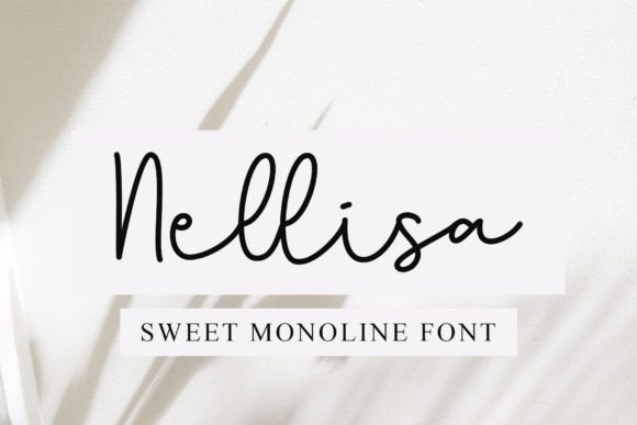 Nellisa Script Font Review for Design Projects